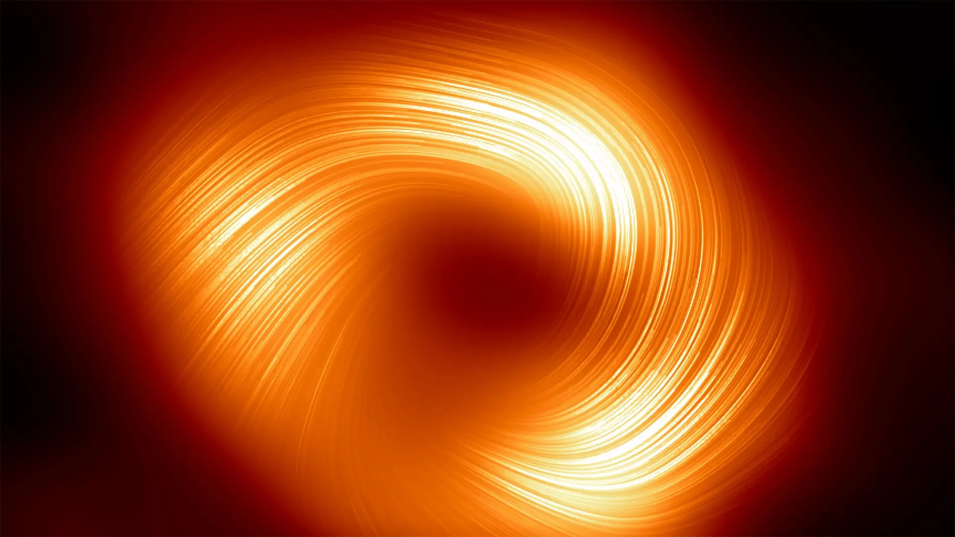 Bild på det svarta hålet i polariserat ljus